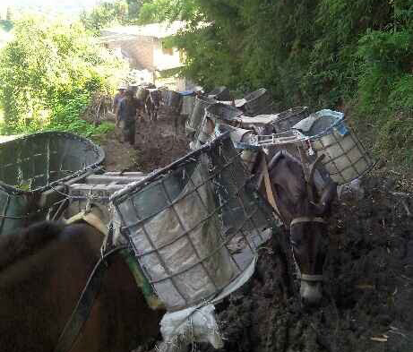 南山区马帮搬运