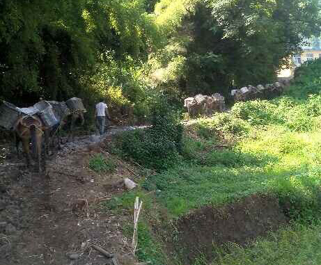 南山区马帮运输队