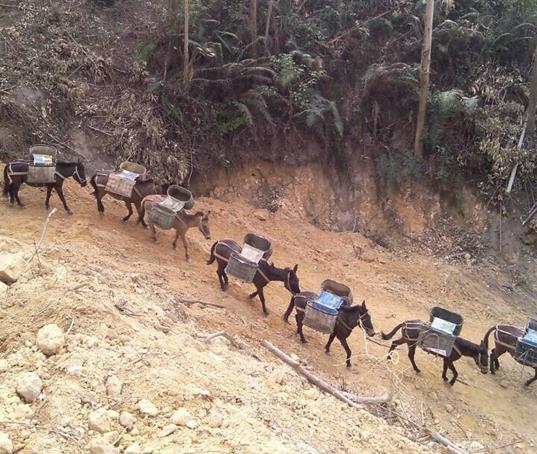 南山区山路马帮运输