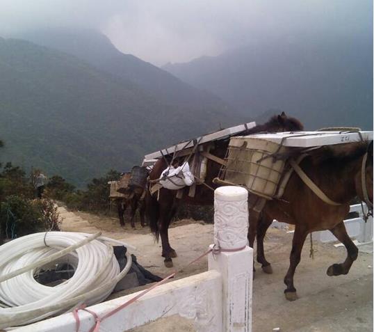 南山区山区马帮运输