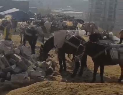 南山区马队山路运输