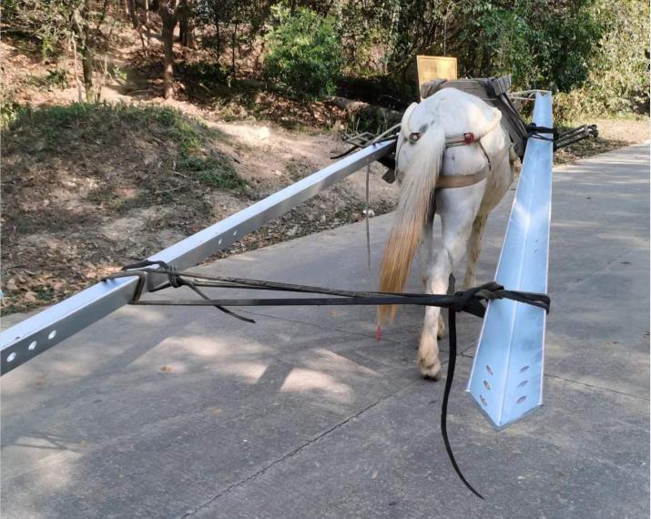 南山区马队搬运