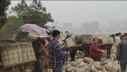 南山区骡马山区运输