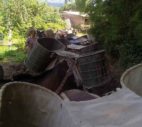 南山区骡马运输队