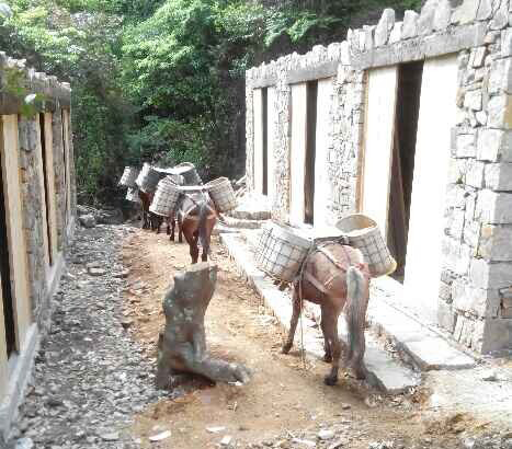 南山区马队运输队